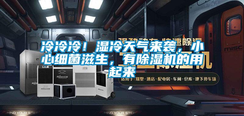 冷冷冷！濕冷天氣來襲，小心細菌滋生，有除濕機的用起來