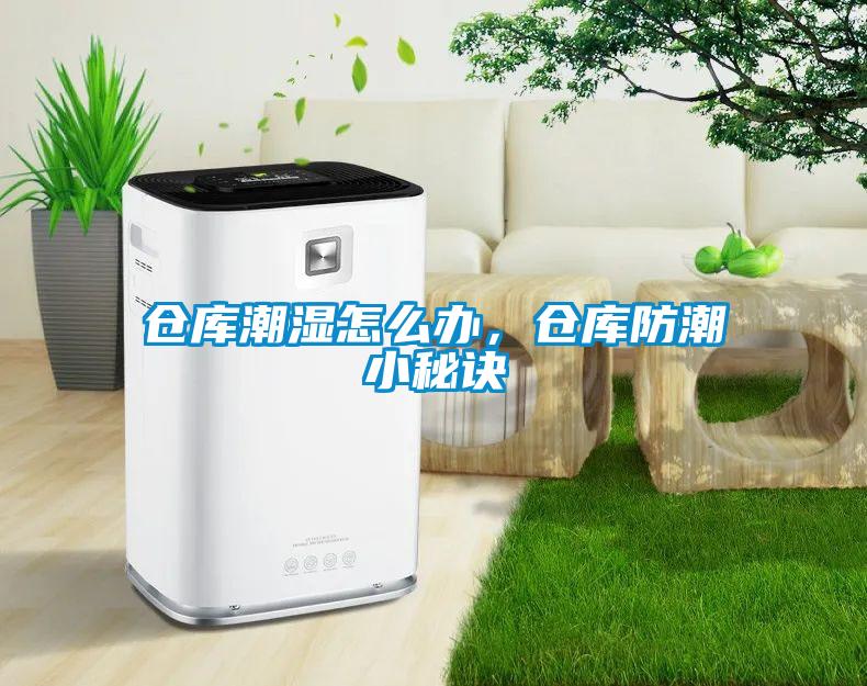 倉庫潮濕怎么辦，倉庫防潮小秘訣
