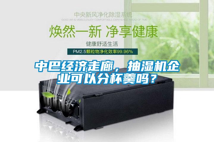 中巴經(jīng)濟(jì)走廊,抽濕機(jī)企業(yè)可以分杯羹嗎?