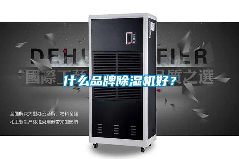 什么品牌除濕機(jī)好？