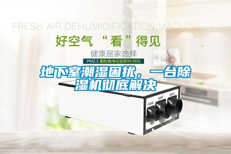 地下室潮濕困擾，一臺除濕機徹底解決