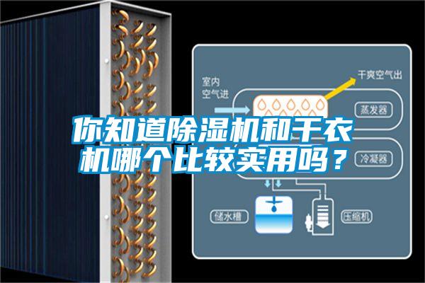你知道除濕機和干衣機哪個比較實用嗎？
