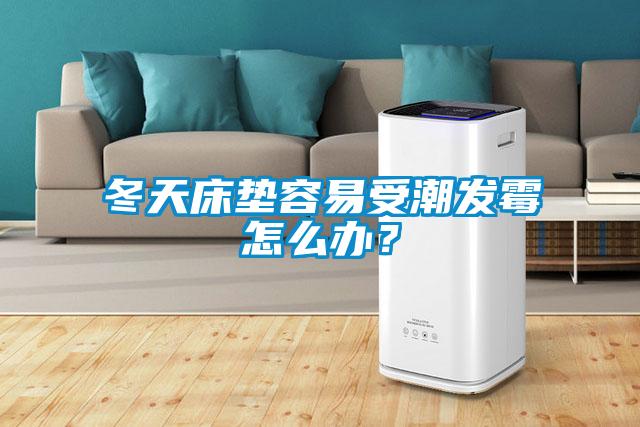 冬天床墊容易受潮發(fā)霉怎么辦？