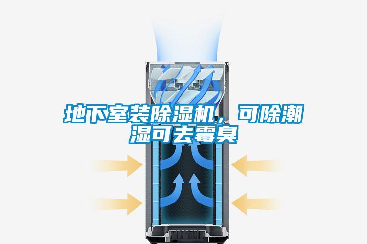 地下室裝除濕機，可除潮濕可去霉臭