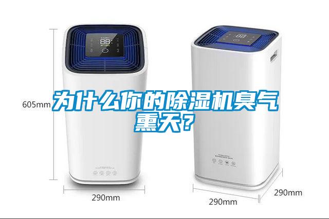 為什么你的除濕機(jī)臭氣熏天？