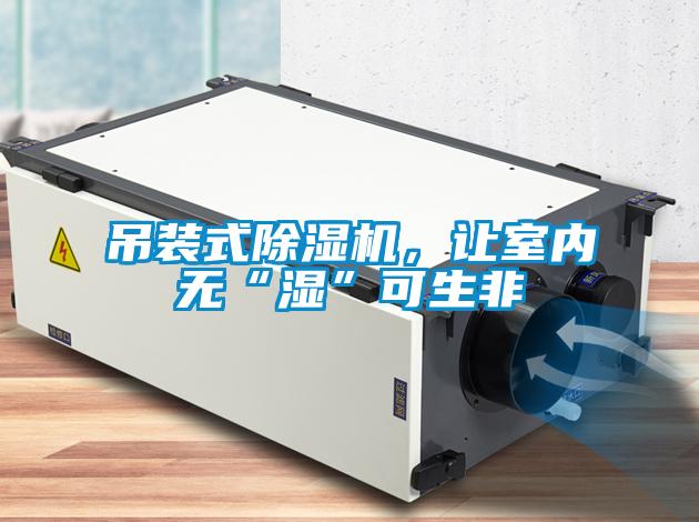 吊裝式除濕機，讓室內無“濕”可生非