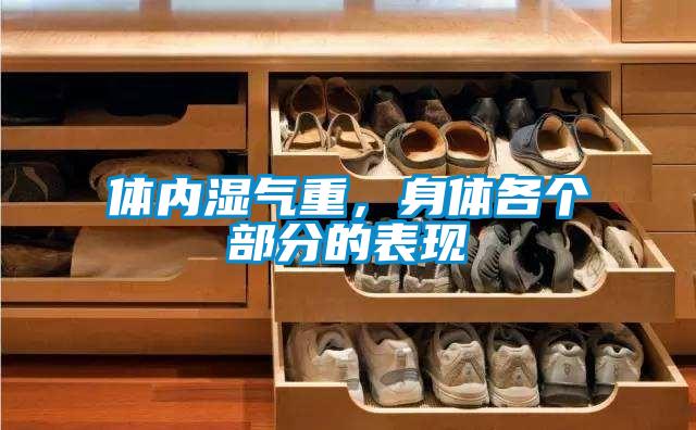 體內(nèi)濕氣重，身體各個部分的表現(xiàn)