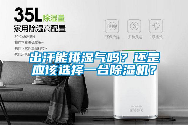 出汗能排濕氣嗎？還是應(yīng)該選擇一臺(tái)除濕機(jī)？