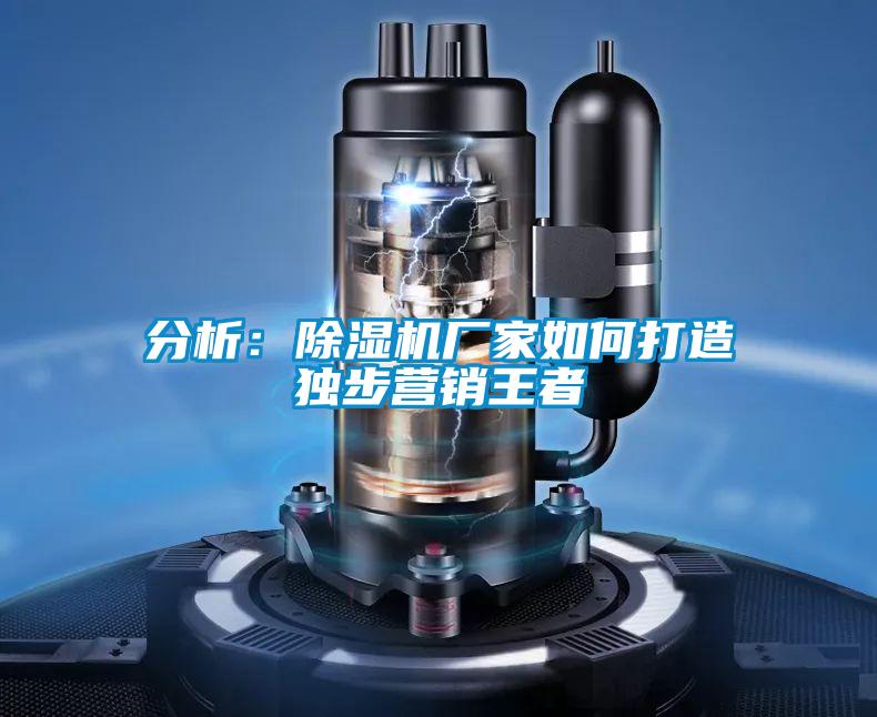 分析：除濕機(jī)廠家如何打造獨(dú)步營(yíng)銷王者