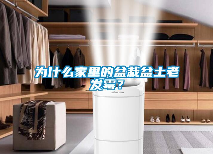 為什么家里的盆栽盆土老發(fā)霉？