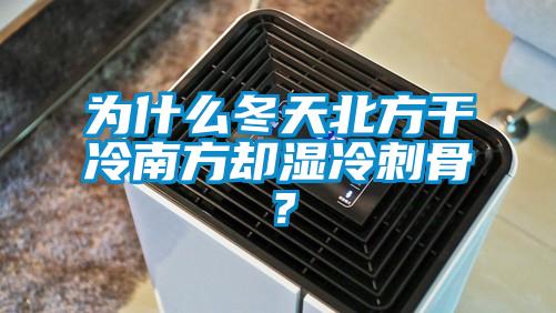 為什么冬天北方干冷南方卻濕冷刺骨？