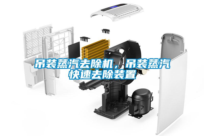 吊裝蒸汽去除機(jī)，吊裝蒸汽快速去除裝置