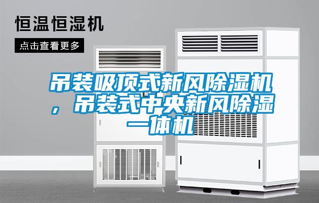 吊裝吸頂式新風(fēng)除濕機(jī)，吊裝式中央新風(fēng)除濕一體機(jī)