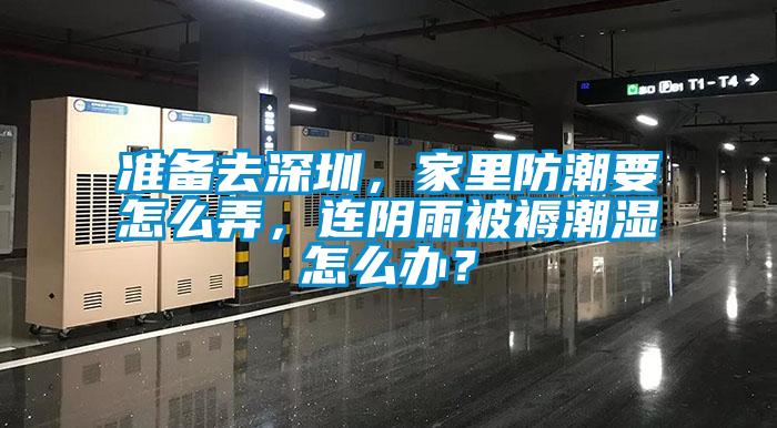 準備去深圳，家里防潮要怎么弄，連陰雨被褥潮濕怎么辦？
