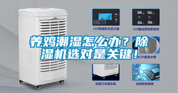 養(yǎng)雞潮濕怎么辦？除濕機選對是關鍵！