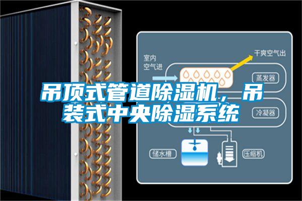 吊頂式管道除濕機，吊裝式中央除濕系統(tǒng)