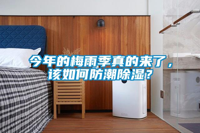 今年的梅雨季真的來(lái)了，該如何防潮除濕？
