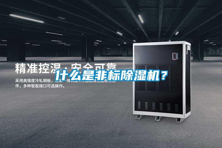 什么是非標(biāo)除濕機？