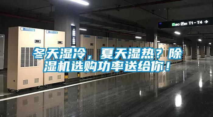 冬天濕冷，夏天濕熱？除濕機選購功率送給你！