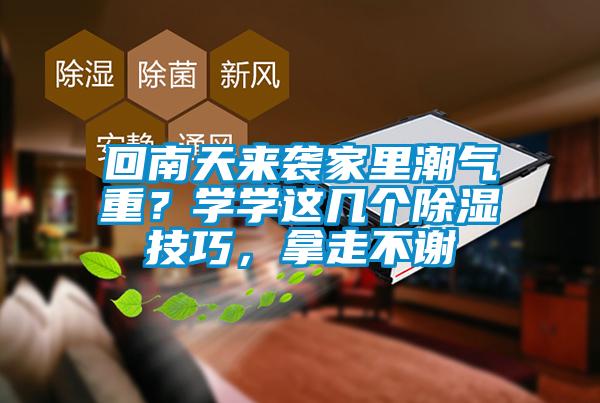 回南天來襲家里潮氣重？學學這幾個除濕技巧，拿走不謝