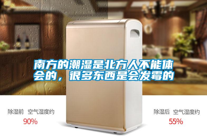 南方的潮濕是北方人不能體會(huì)的，很多東西是會(huì)發(fā)霉的