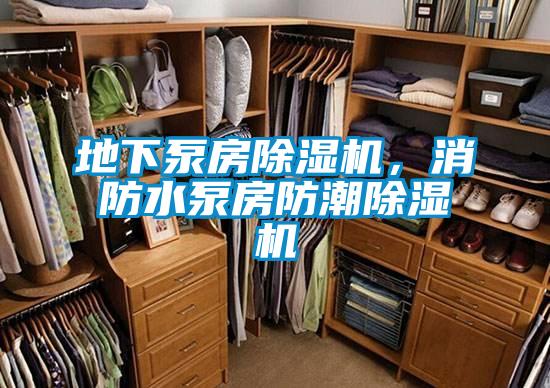 地下泵房除濕機(jī)，消防水泵房防潮除濕機(jī)