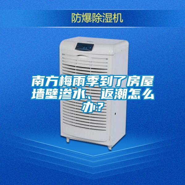 南方梅雨季到了房屋墻壁滲水、返潮怎么辦？
