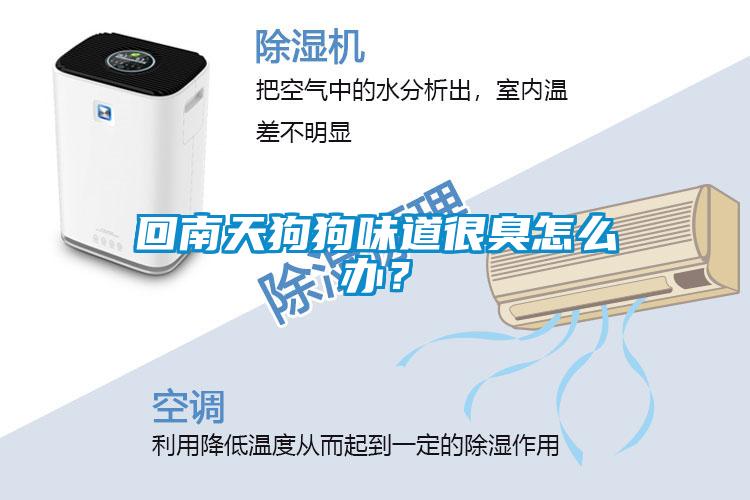 回南天狗狗味道很臭怎么辦？