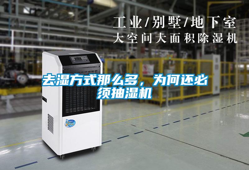 去濕方式那么多，為何還必須抽濕機(jī)