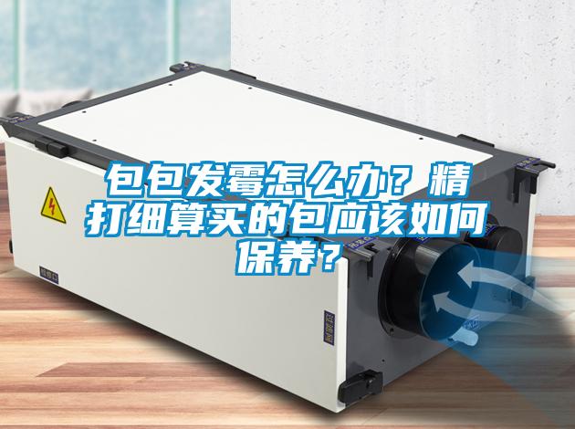 包包發(fā)霉怎么辦？精打細(xì)算買的包應(yīng)該如何保養(yǎng)？