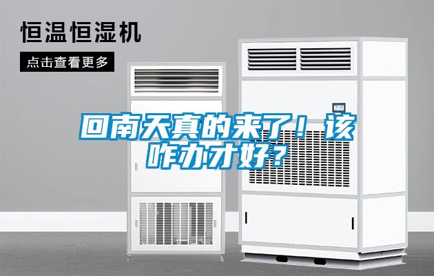 回南天真的來(lái)了！該咋辦才好？