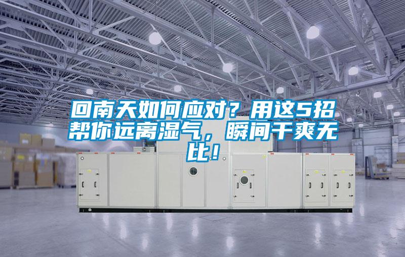回南天如何應(yīng)對(duì)？用這5招幫你遠(yuǎn)離濕氣，瞬間干爽無比！