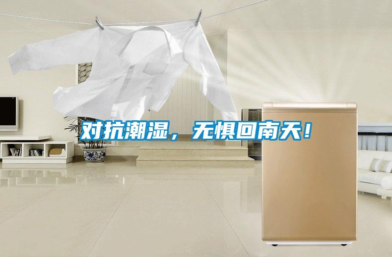 對抗潮濕，無懼回南天！