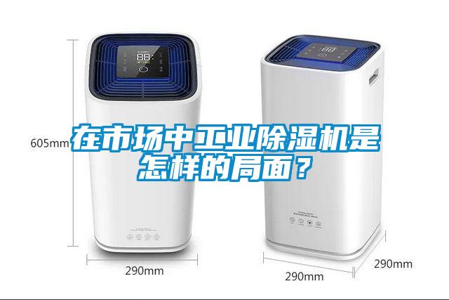 在市場中工業(yè)除濕機(jī)是怎樣的局面？