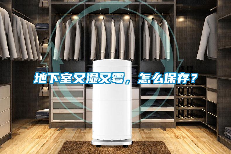 地下室又濕又霉，怎么保存？