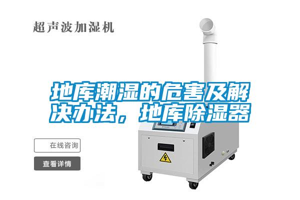 地庫潮濕的危害及解決辦法，地庫除濕器