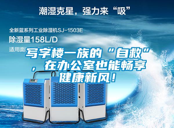 寫字樓一族的“自救”，在辦公室也能暢享健康新風(fēng)！