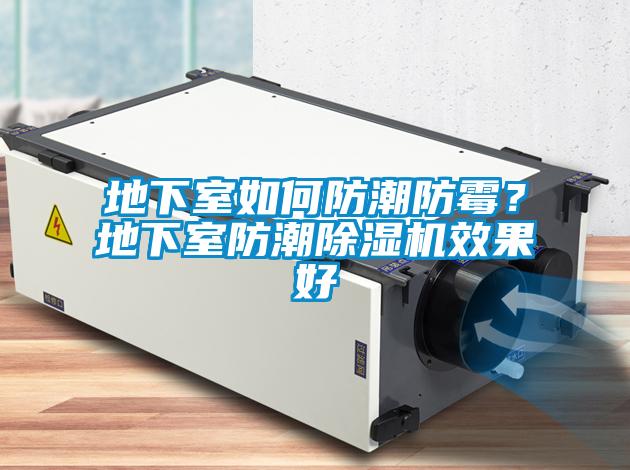 地下室如何防潮防霉？地下室防潮除濕機(jī)效果好