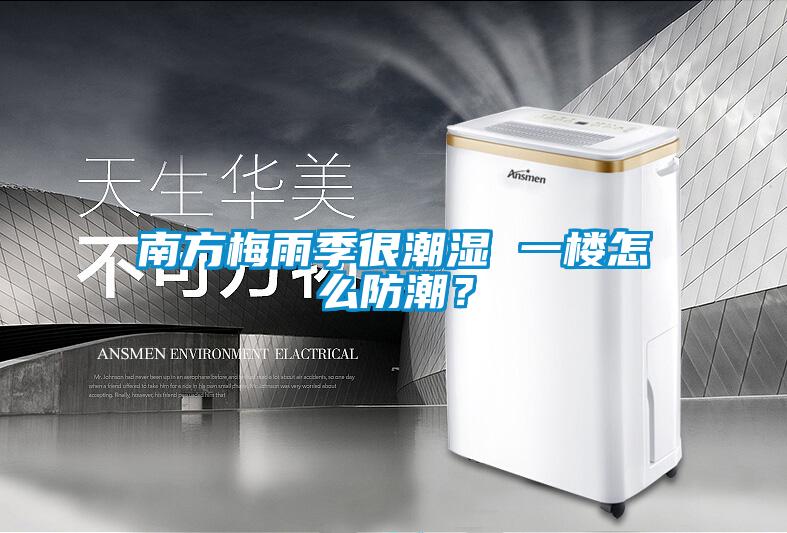 南方梅雨季很潮濕 一樓怎么防潮？