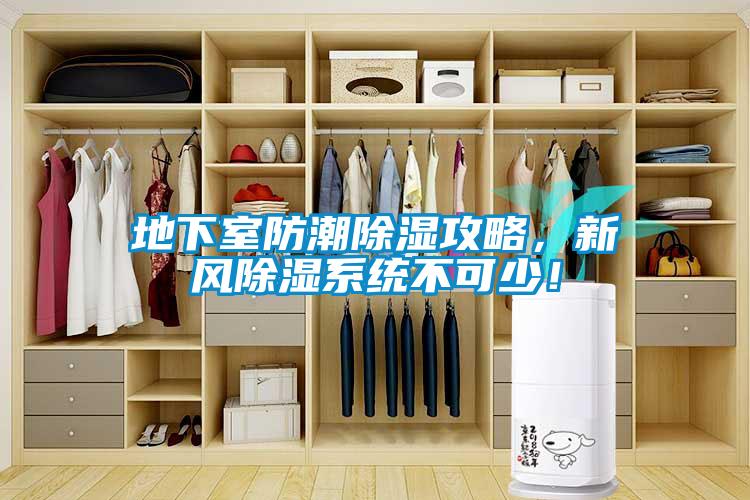 地下室防潮除濕攻略，新風(fēng)除濕系統(tǒng)不可少！