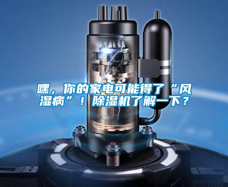 嘿，你的家電可能得了“風(fēng)濕病”！除濕機了解一下？