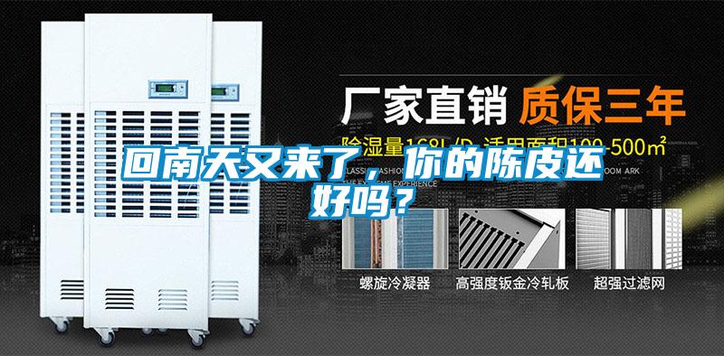 回南天又來了，你的陳皮還好嗎？
