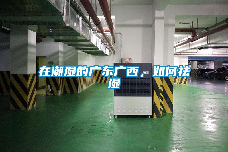 在潮濕的廣東廣西，如何祛濕
