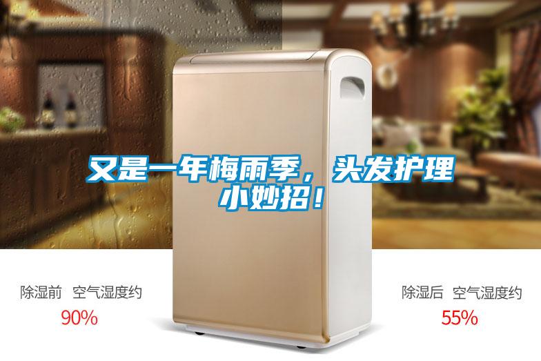 又是一年梅雨季，頭發(fā)護理小妙招！