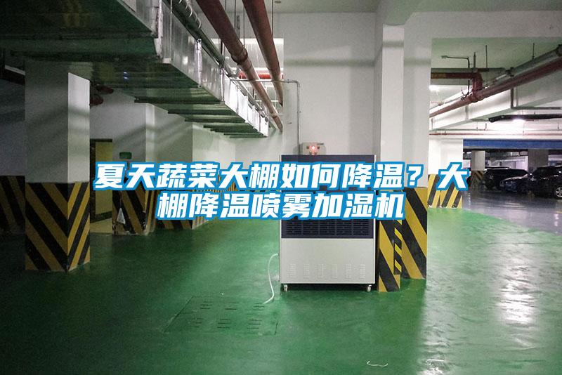 夏天蔬菜大棚如何降溫？大棚降溫噴霧加濕機(jī)