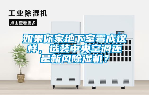 如果你家地下室霉成這樣，選裝中央空調(diào)還是新風(fēng)除濕機(jī)？
