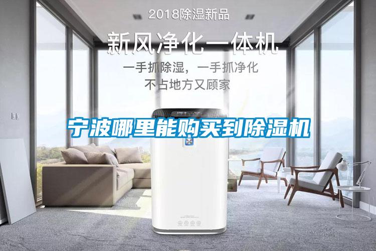 寧波哪里能購(gòu)買(mǎi)到除濕機(jī)