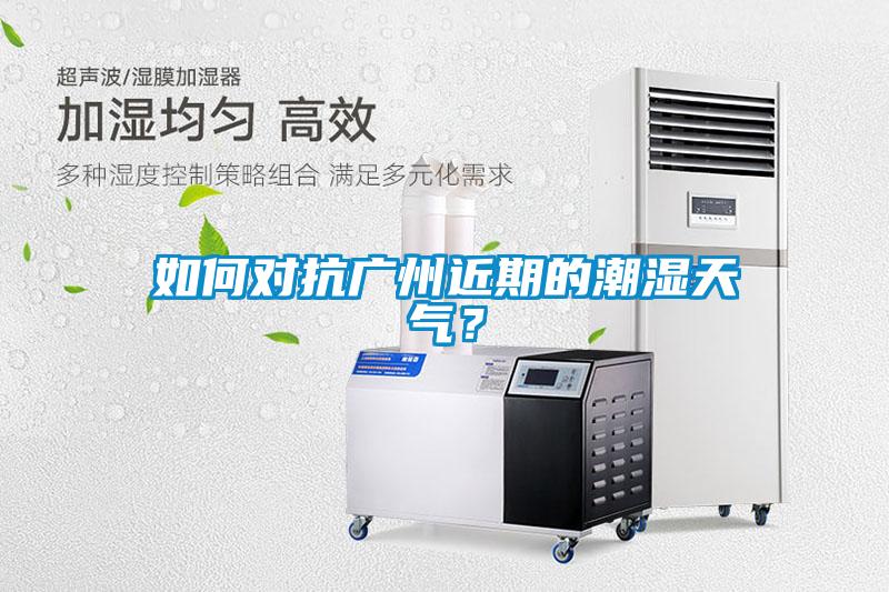 如何對抗廣州近期的潮濕天氣？