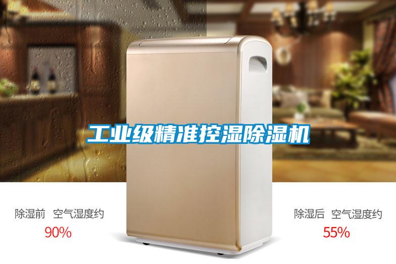 工業(yè)級精準控濕除濕機
