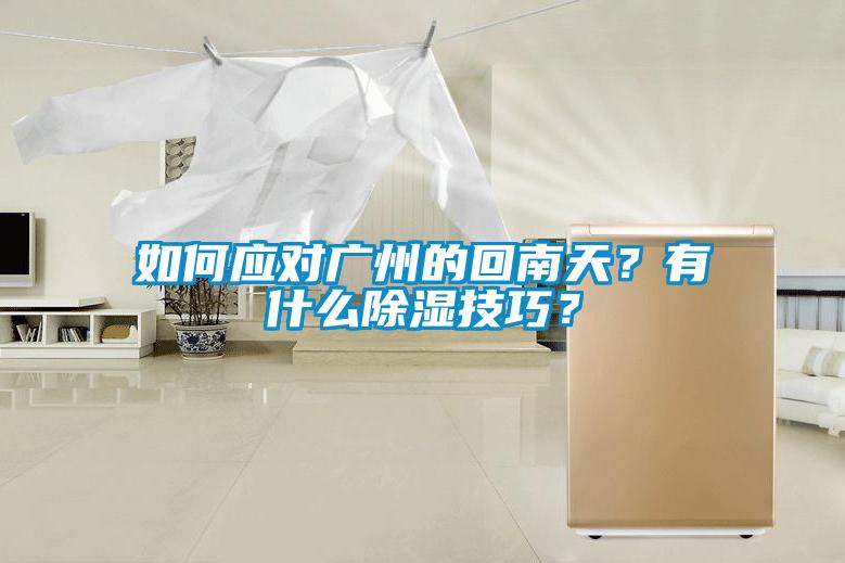 如何應(yīng)對(duì)廣州的回南天？有什么除濕技巧？